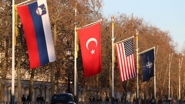 Zastave zemalja-članica NATO-a podignute za samit u Londonu - Sputnik Srbija