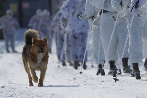 Морнаричка пешадија Оружаних снага Русије: Нови живот „црне смрти“ - Sputnik Србија