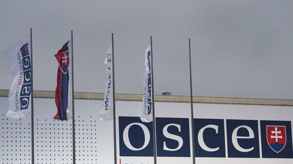 Zastave OEBS-a ispred mesta održavanja Ministarskog sastanka ove organizacije u Bratislavi - Sputnik Srbija