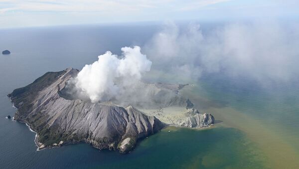 Erpucija vulkana na Novom Zelandu - Sputnik Srbija