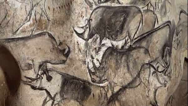 Праисторијска слика носорога у пећини Шове - Sputnik Србија