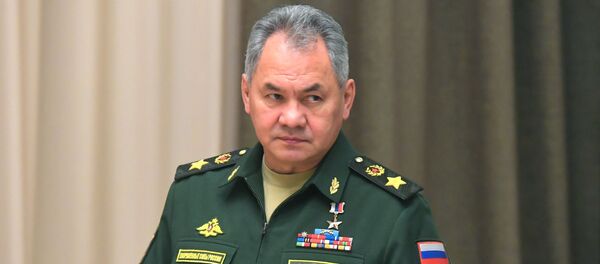 Министар одбране Русије Сергеј Шојгу - Sputnik Србија