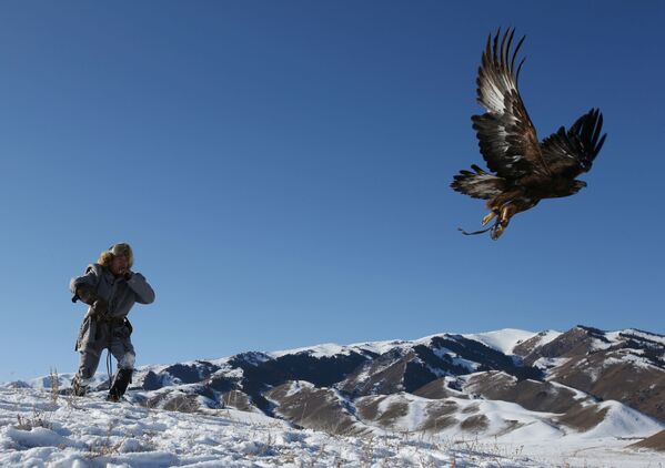 Lovac pušta svog pripitomljenog zlatnog orla tokom tradicionalnog lovačkog takmičenja u blizini sela Kajnar u Almatinskoj oblasti. - Sputnik Srbija