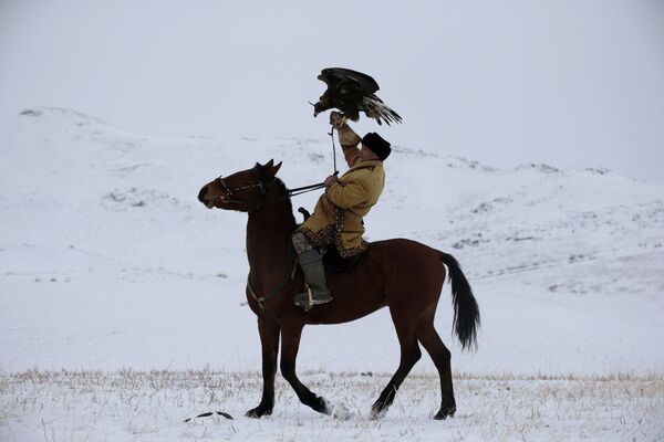 Lovac sa zlatnim orlom na konju tokom lova u Kazahstanu - Sputnik Srbija