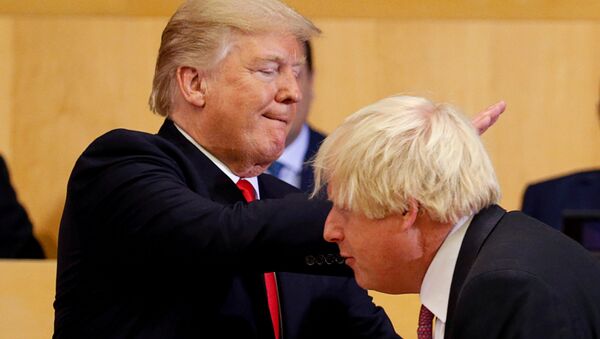 Američki predsednik Donald Tramp i britanski premijer Boris Džonson - Sputnik Srbija