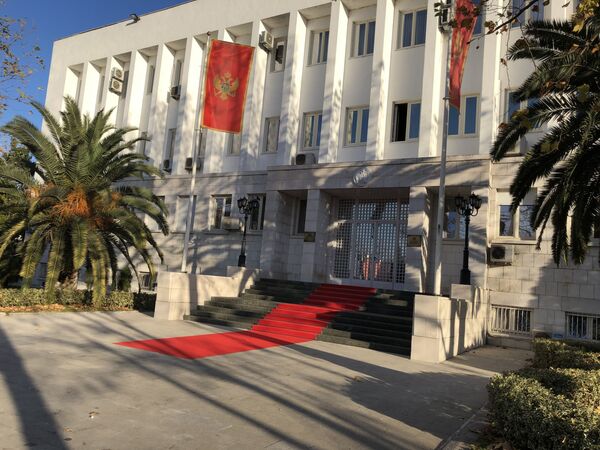 Гласала сам за независну Црну Гору, али сада идем на литије - Sputnik Србија