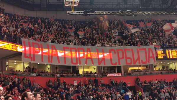 Poruka sa utakmice Zvezda-Bajern - Sputnik Srbija