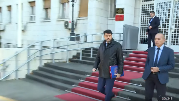 Ambasador Srbije u Crnoj Gori Vladimir Božović - Sputnik Srbija