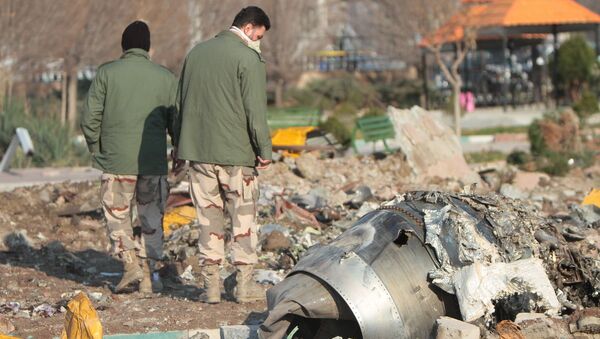 Ukrajinski avion „boing 737“ koji se srušio u Teheranu - Sputnik Srbija