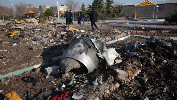 Spasioci na mestu pada ukrajinskog aviona Boing 737 u Iranu - Sputnik Srbija