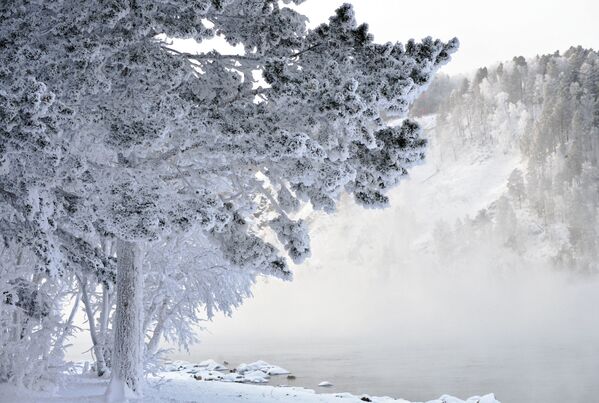 Зимски пејзаж на обали реке Јенисеј. - Sputnik Србија