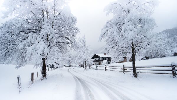 A winter landscape in Bavaria - Sputnik Srbija