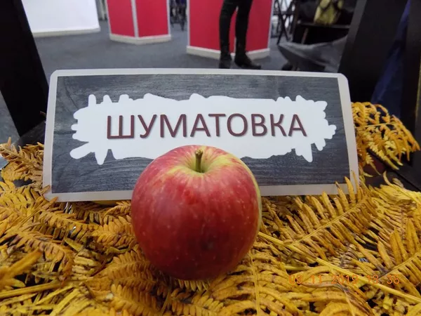 Старе српске сорте воћа и поврћа у борби против ГМО Старе српске сорте воћа и поврћа у борби против ГМО - Sputnik Србија