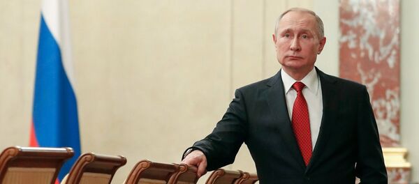 Председник Русије Владимир Путин пре састанка са члановима Владе Русије - Sputnik Србија