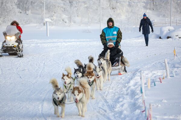 Turisti na sankanju sa psima u turističkom parku „Severna svetlost“ u Murmanskoj oblasti. - Sputnik Srbija