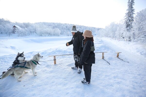 Turisti slikaju pse sa sankama u turističkom parku „Severna svetlost“ u Murmanskoj oblasti. - Sputnik Srbija