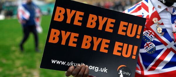 Pristalica bregzita u Londonu nosi plakat na kome piše Doviđenja EU!  - Sputnik Srbija