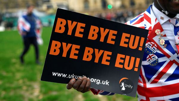 Присталица брегзита у Лондону носи плакат на коме пише Довиђења ЕУ!  - Sputnik Србија