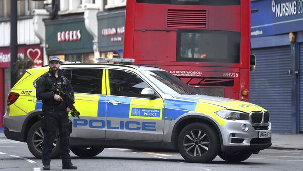 Полицајац и полицијско возило у Лондону - Sputnik Србија