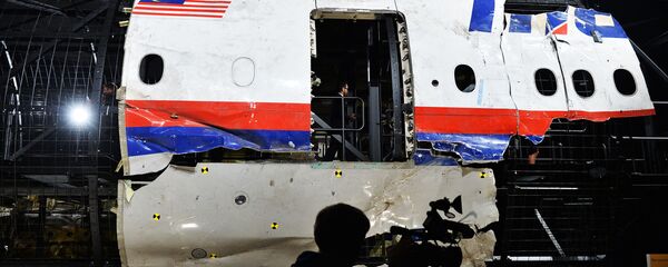 Олупина авиона Боинг 777 малезијске авиокомпаније који је летео на линији МХ17 - Sputnik Србија