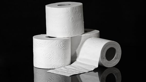 Toalet-papir - Sputnik Srbija