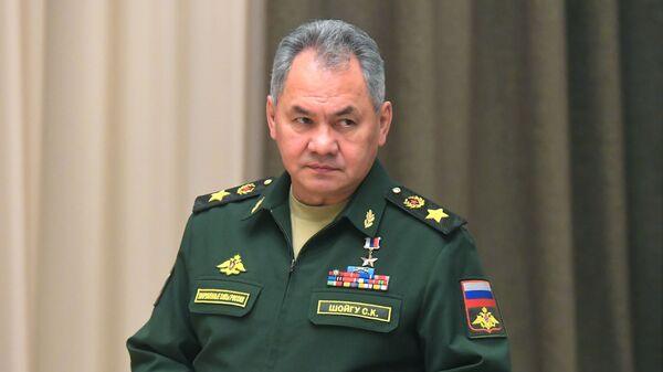 Руски министар одбране Сергеј Шојгу - Sputnik Србија