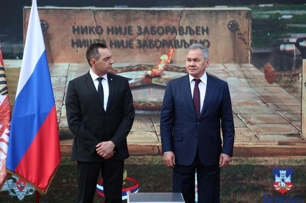 Šojgu: Pomoć Srbiji je stigla brzo zahvaljujući odličnim odnosima dva predsednika - Sputnik Srbija