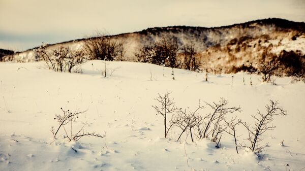 сеоски крај под снегом - Sputnik Србија