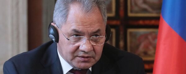 Министар одбране Русије Сергеј Шојгу - Sputnik Србија