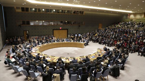 Članovi Saveta bezbednosti UN na zasedanju u sedištu Ujedinjenih nacija u Njujorku - Sputnik Srbija