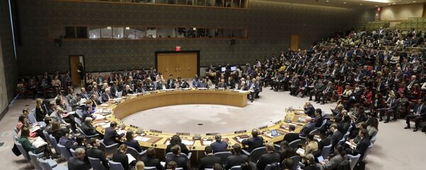 Članovi Saveta bezbednosti UN na zasedanju u sedištu Ujedinjenih nacija u Njujorku - Sputnik Srbija