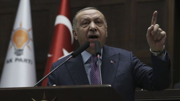 Predsednik Turske Redžep Tajip Erdogan  - Sputnik Srbija