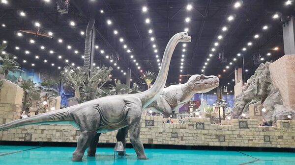 Četrdeset hiljada ljudi na otvaranju novog ruskog čuda – „Ostrva mašte“ /foto/ Četrdeset hiljada ljudi na otvaranju novog ruskog čuda – „Ostrva mašte“ /foto/ - Sputnik Srbija