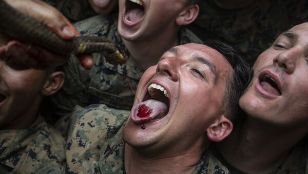 Američki marinci piju krv kobre tokom vežbi preživljavanja zlatna kobra - Sputnik Srbija