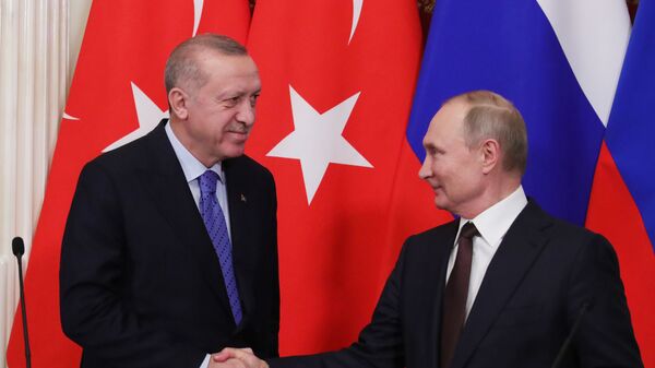Шта су се договорили Путин и Ердоган - Sputnik Србија