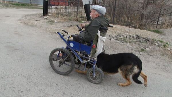 Пас који је хуманији од људи - Sputnik Србија