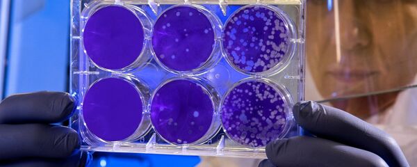 Ispitivanje laboratorijskih uzoraka Ispitivanje laboratorijskih uzoraka - Sputnik Srbija