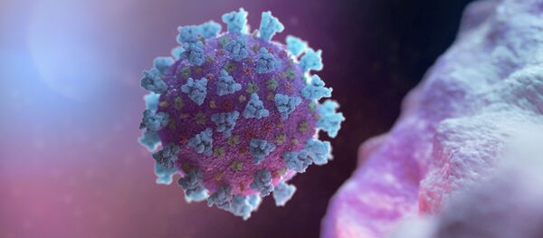 Kompjuterski model koronavirusa - Sputnik Srbija