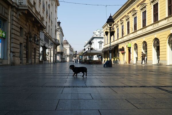 Počeo je rat: Svi smo mobilisani ali niko ne mora da ide u blatnjavi rov Počeo je rat: Svi smo mobilisani ali niko ne mora da ide u blatnjavi rov - Sputnik Srbija