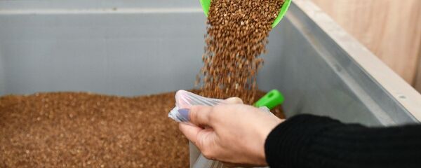 Продаја хељде у продавници у Симферопољу - Sputnik Србија