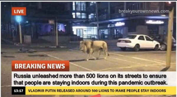 Неле Карајлић: Зашто се верује да су лавови у Москви, а да Путин даје ултиматум Русима - Sputnik Србија