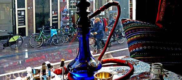 Наргила бар Наргила бар - Sputnik Србија