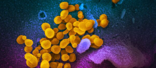 Virus korone pod mikroskopom Virus korone pod mikroskopom - Sputnik Srbija
