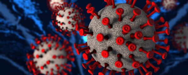 Virus korona – ilustracija Virus korona – ilustracija - Sputnik Srbija