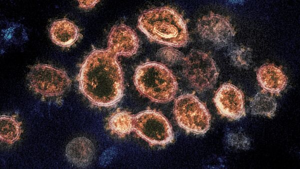 Вирус корона, који изазива болест ковид 19, под микроскопом - Sputnik Србија