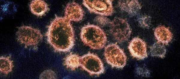 Virus korona, koji izaziva bolest kovid 19, pod mikroskopom - Sputnik Srbija