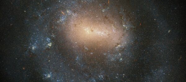 Галактика NGC 4618 в созвездии Гончие Псы Галактика NGC 4618 в созвездии Гончие Псы - Sputnik Србија