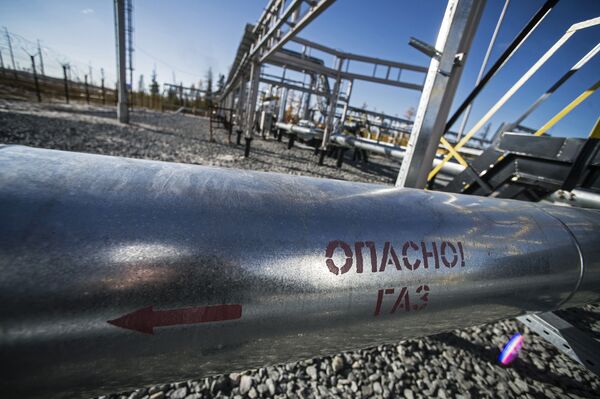 Novi petrohemijski kompleksi – budućnost Rusije Novi petrohemijski kompleksi – budućnost Rusije - Sputnik Srbija