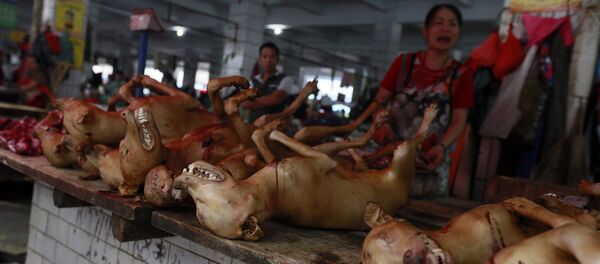 Пијаца у Вухану, пси и мачке - Sputnik Србија