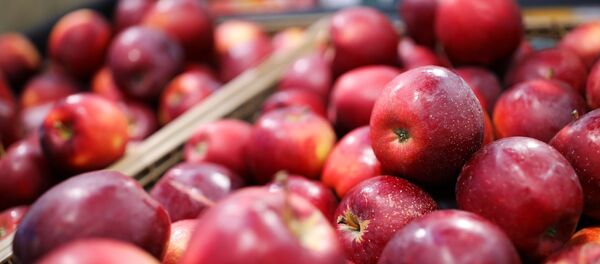 Магнит приостановил импорт фруктов и овощей из Китая Магнит приостановил импорт фруктов и овощей из Китая - Sputnik Србија